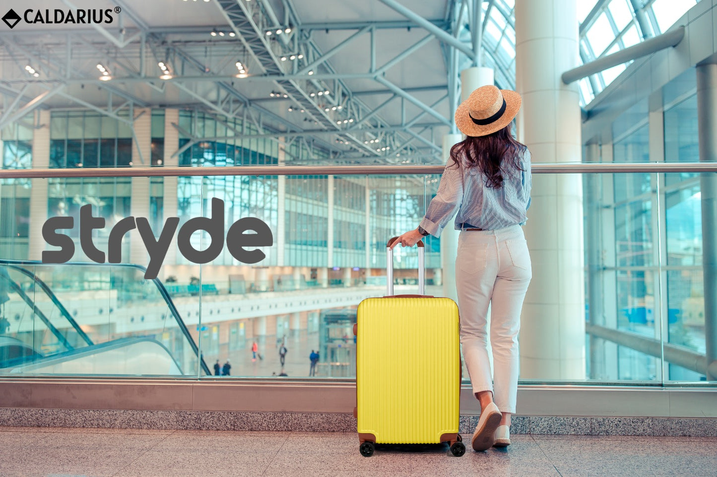 STRYDE-The Best Seller